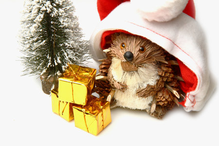 christmas hedgehog の写真素材
