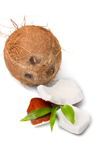 coconutの写真素材