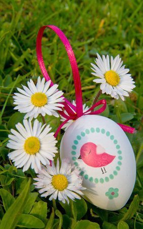 Easter eggs with daisy on grass
