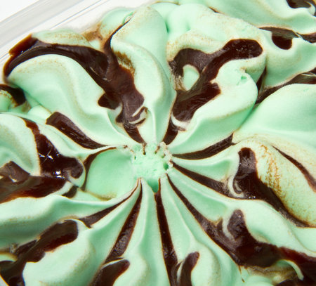 Mint ice cream with chocolate sauce の写真素材