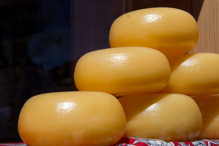 Cheese rack in refining in Gouda の写真素材