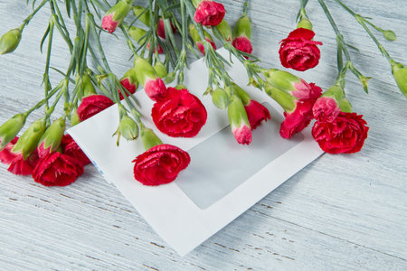 Spring letter and red carnationの写真素材