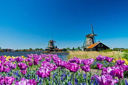 Photo of windmill in Holland with blue sky の写真素材