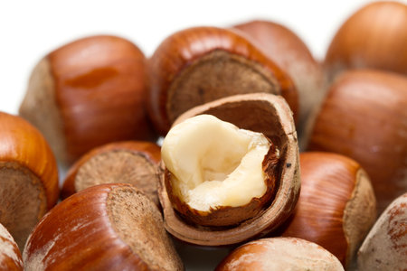 Hazelnut の写真素材