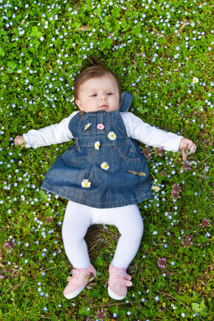 baby on green grass with daisy