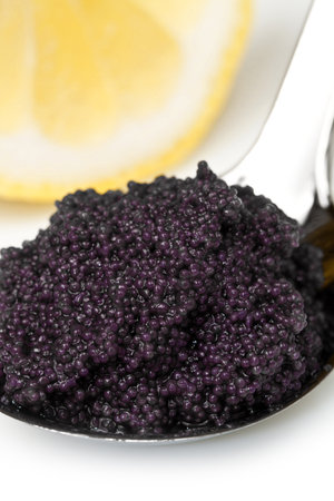 black caviar on white backgroundの写真素材