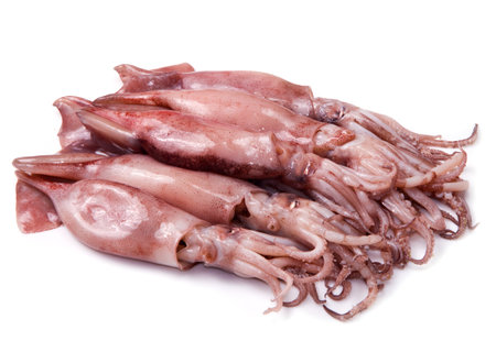 a group of fresh squid isolated on whiteの写真素材