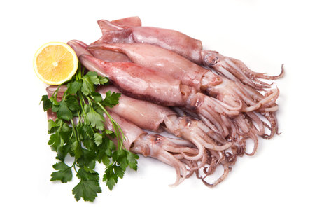 a group of fresh squid with lemon and parsley isolated on whiteの写真素材