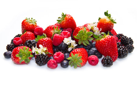 Berries on white Backgroundの写真素材