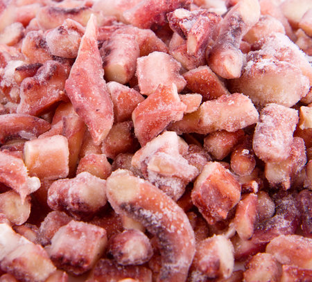 frozen octopus tentaclesの写真素材