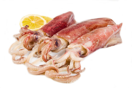 fresh squid isolated on white background の写真素材