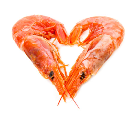 shrimp isolated on white with heart shape の写真素材