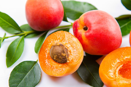Apricot with leaves