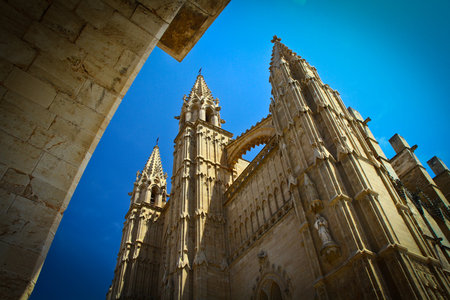 Cathedral of Palma de Majorcaの写真素材