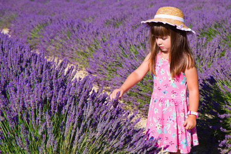 Smiling girl sniffing flowers in a lavender fieldの写真素材