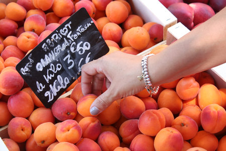 apricots at the marketの写真素材