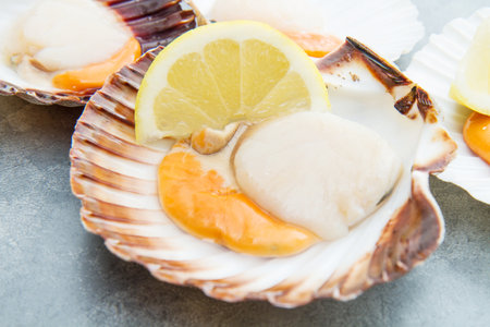 group of fresh scallopsの写真素材