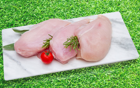 chicken breast on white plate on green grass backgroundの写真素材