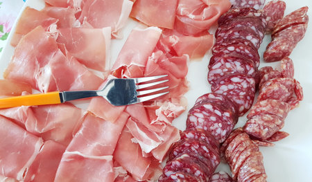 plate of mixed cold cuts as an appetizerの写真素材