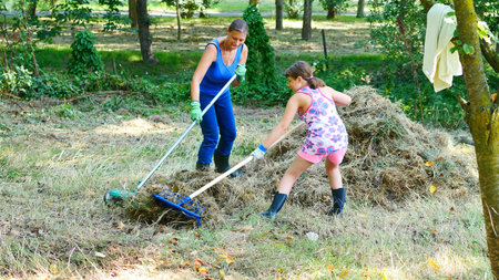 woman and her daughter work in the garden gathering the freshly cut dry grassの写真素材