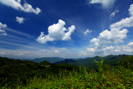 Mountain pasturesの写真素材