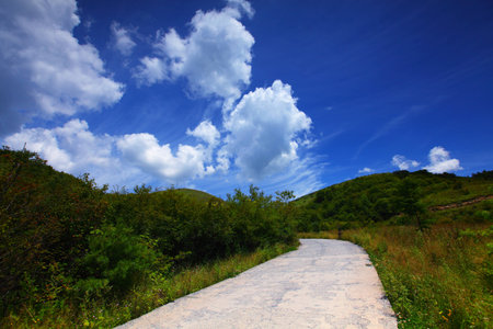 Highwayの写真素材