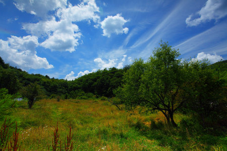 Mountain pasturesの写真素材
