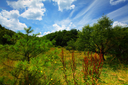 Mountain pasturesの写真素材
