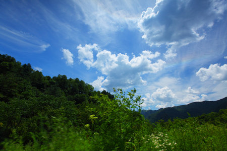 Mountain pasturesの写真素材