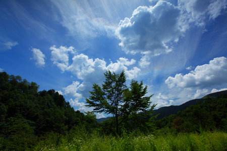 Mountain pasturesの写真素材