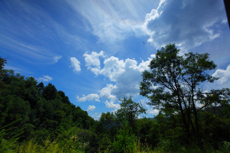 Mountain pasturesの写真素材
