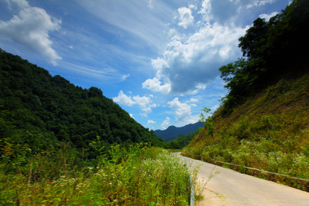 Mountain pasturesの写真素材