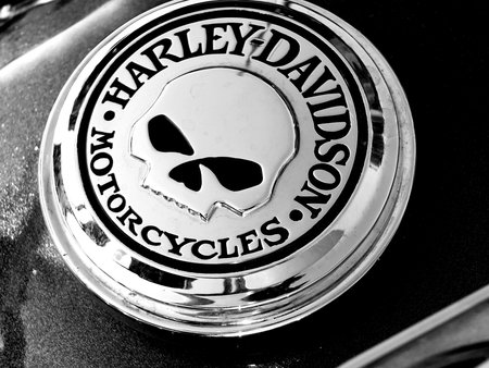 Czarnkw, POLAND - September 13, 2014: A logo of Harley-Davidson on one of the motorcycles during the...