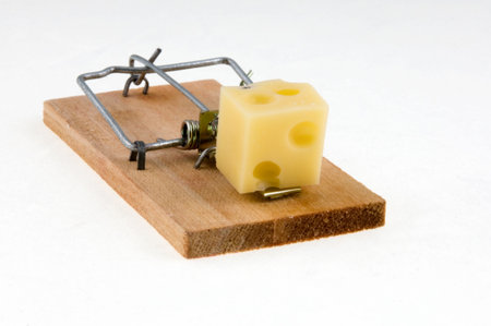 Mouse trap with cheese.の写真素材