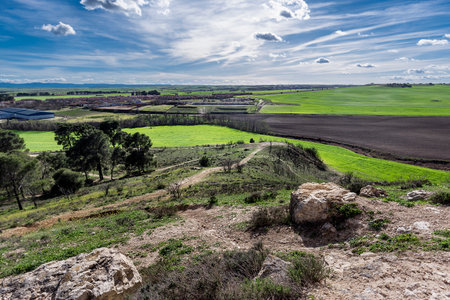 fields of Castilla la Manchaの写真素材