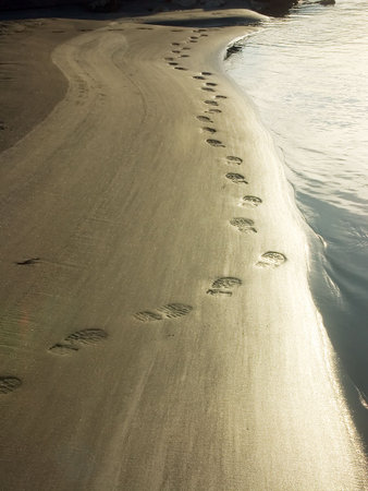 tracesの写真素材