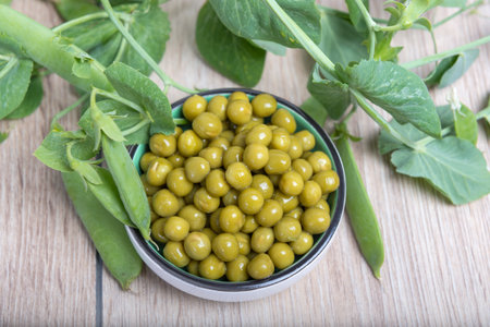 Boiled green peas in a cup, pods and branchesの写真素材