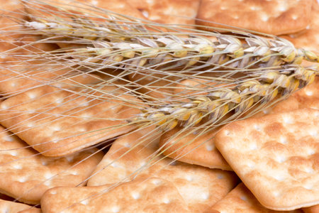 dry crackers and stalks of wheatの写真素材