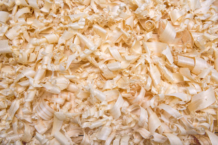 shavings spiral out of hand jointer scattered on pine boardsの写真素材