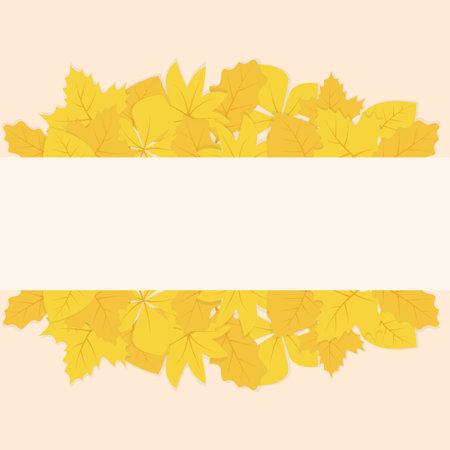 Autumn background with yellow leaves and space for text. Vector illustration.のイラスト素材
