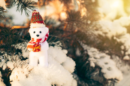 winter background with a snow-covered branch of a Christmas treeの写真素材