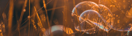 soap bubbles in the grass on a sunset background, banner with congratulationsの写真素材