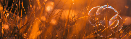 soap bubbles in the grass on a sunset background, banner with congratulationsの写真素材