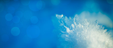 beautiful blurred background with multicolored bokeh