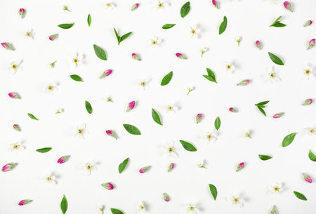Floral pattern made of spring flowers, pink buds and leaves isolated on white background. Flat lay. Top view.の写真素材