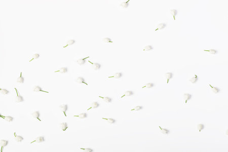 Floral pattern made of lily of the valley flowers isolated on white background. Flat lay. Top view.の写真素材