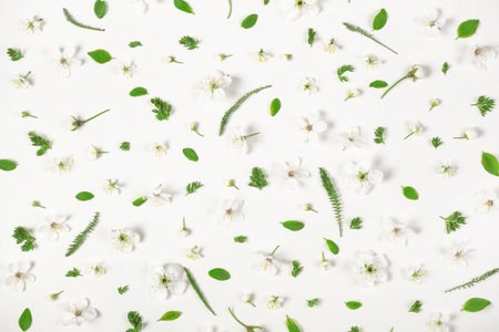 Floral pattern made of spring flowers and leaves  isolated on white background. Flat lay. Top view.の写真素材