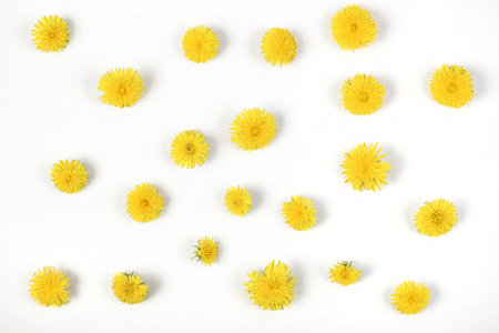 Floral pattern made of yellow dandelion flowers  isolated on white background. Flat lay. Top view.の写真素材