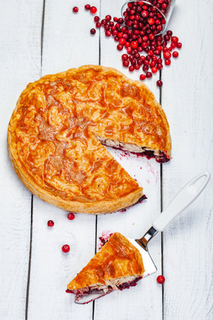 Christmas pie with turkey and cranberry. Top view. Close upの写真素材