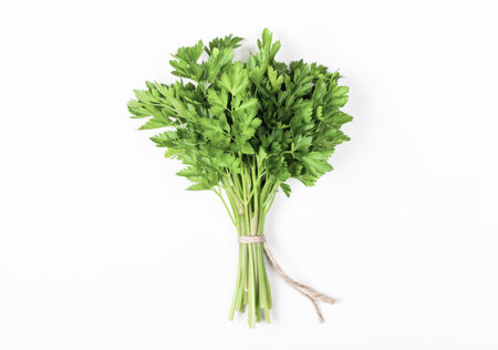 Parsley bunch isolated on white background. Flat lay. Top view. Minimal food concept.の写真素材